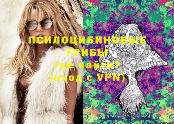 прущая мука Алзамай