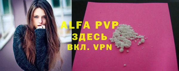 индика Алексин