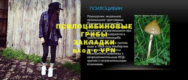 прущая мука Алзамай