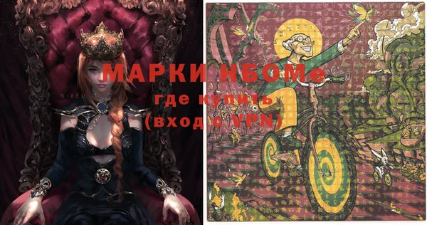 индика Алексин