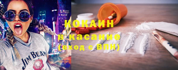 индика Алексин