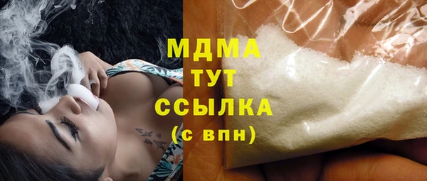 индика Алексин